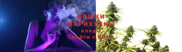 мяу мяу мука Няндома
