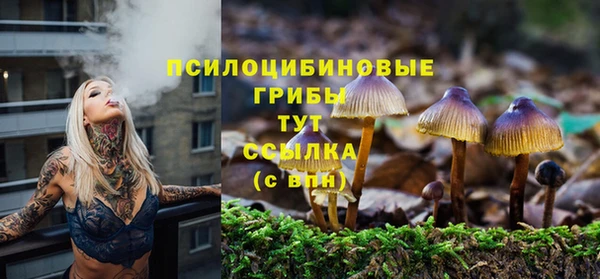 кокс Нягань