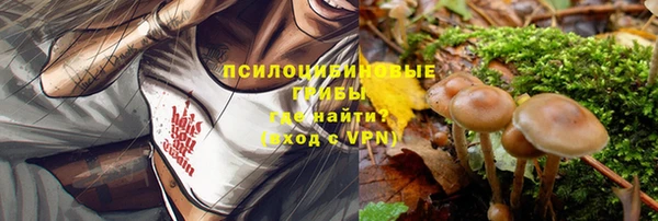 кокс Нягань