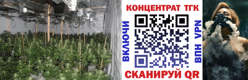 Купить где  Ахтырский  Дистиллят ТГК Wax 