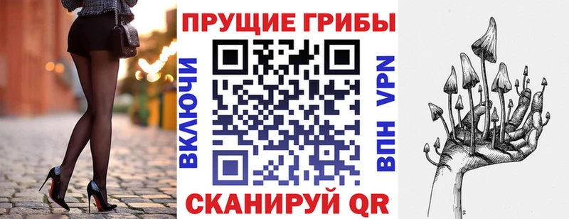 Галлюциногенные грибы Psilocybe  Купить где  Ахтырский 